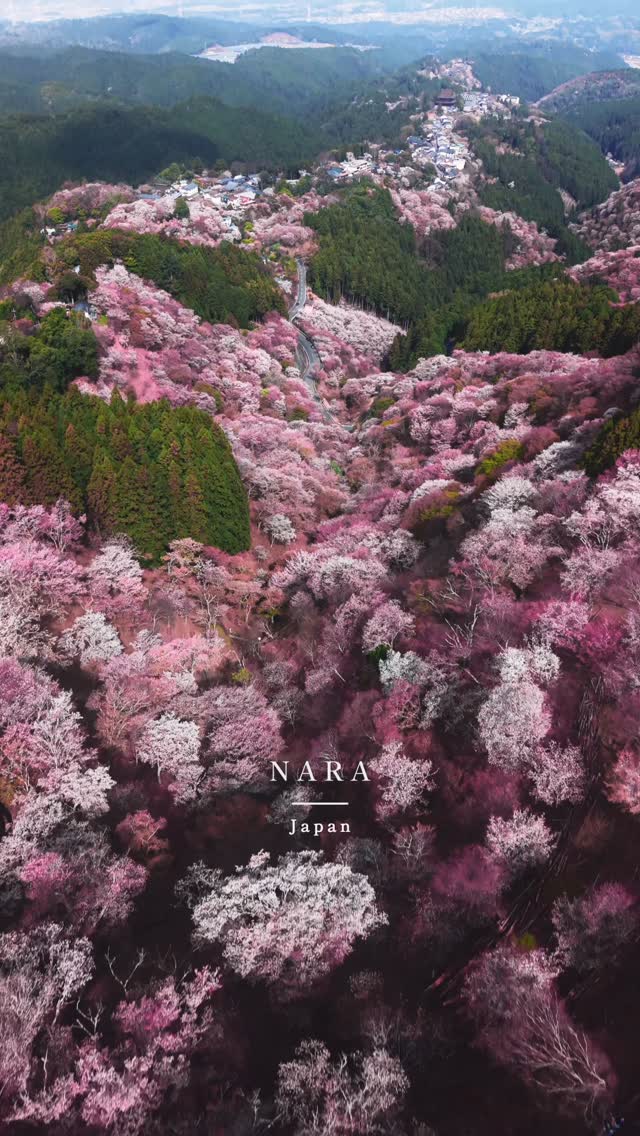 Nara